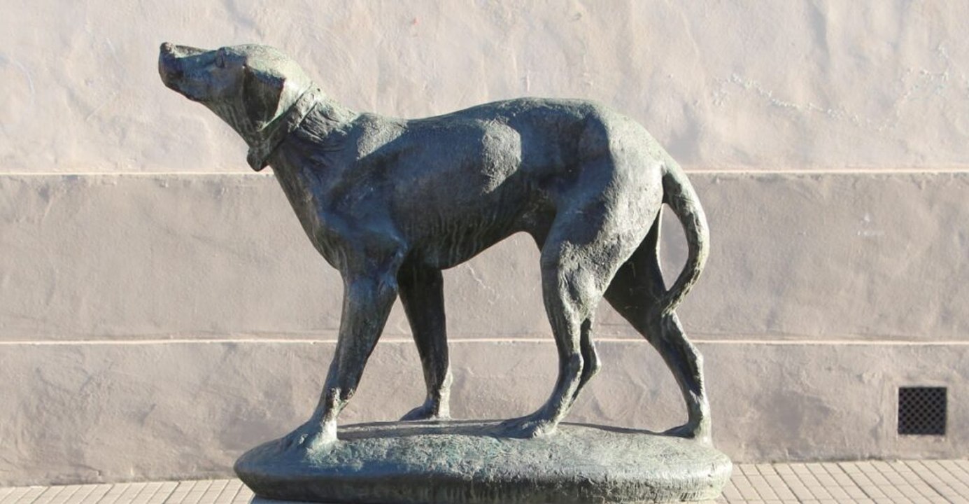 Behind the scenes: history's 11 most inspiring dog stories