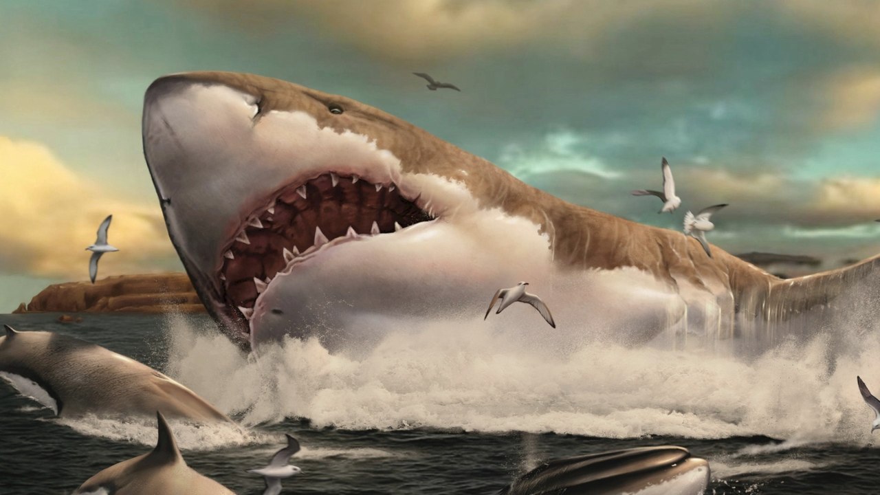 A closer look at Mega Creatures' Teeth: Show vs Power