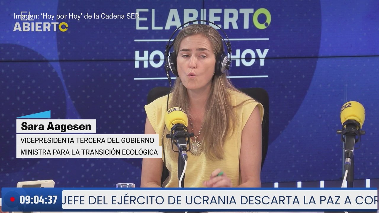 Aagesen: "Hablamos de 108.000 hectáreas quemadas"