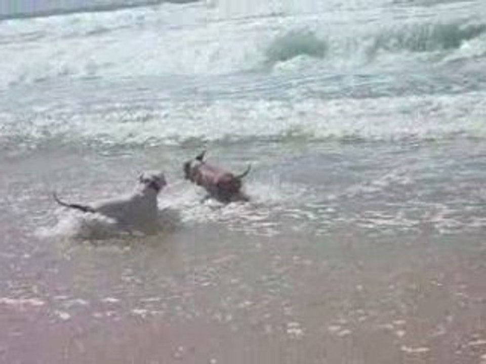 Game anna ocean