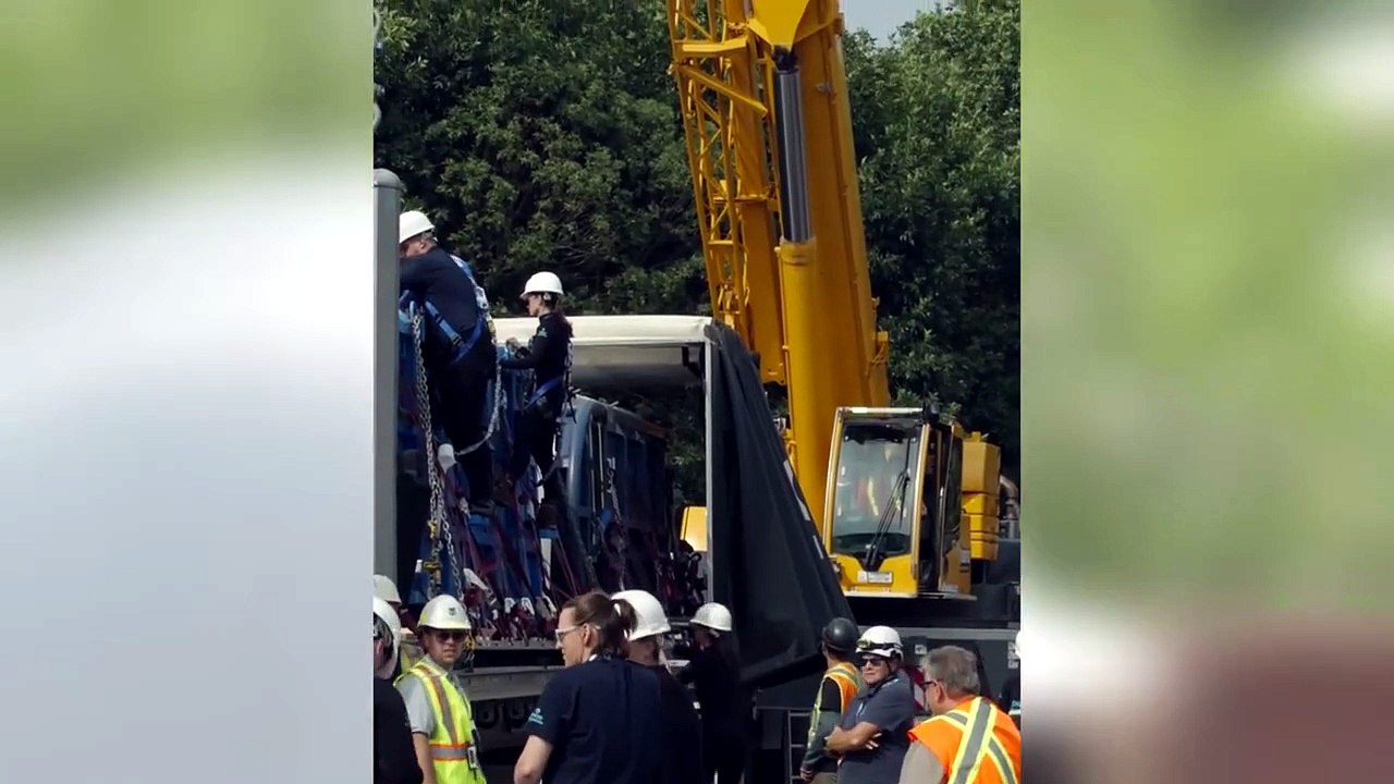 Quattro beluga cambiano... "casa": il viaggio in camion e in aereo dei cetacei bianchi - video