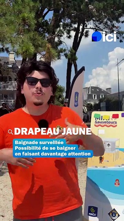 Que signifient les drapeaux sur les plages ?
