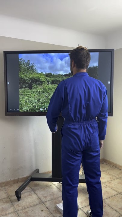 Comment saisir une opportunité ?
