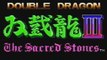 Double Dragon 3 - the Sacred Stones (NES)