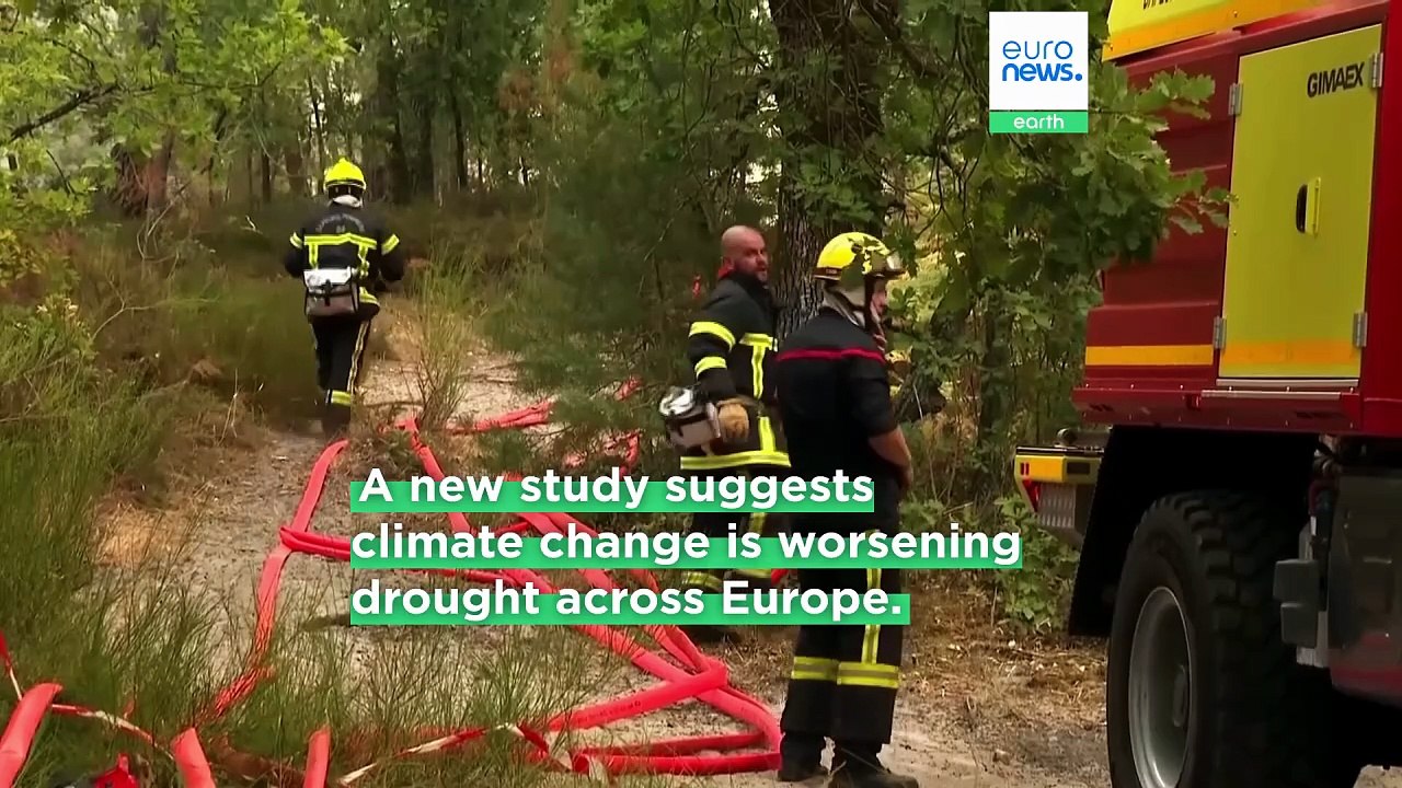 ‘Scorching, dry summers’: Heat rather than lack of rain is now to blame for Europe’s droughts