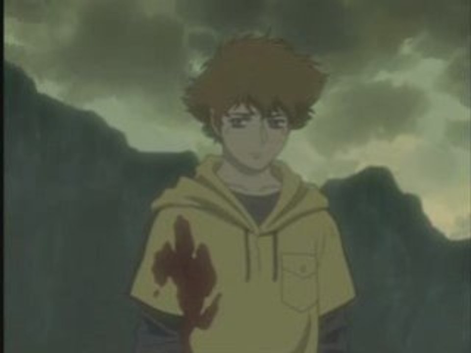 Wolf's rain
