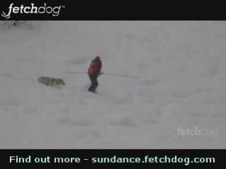 Glenn Close Gets Buried Alive