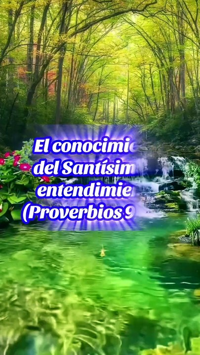 Reflexiones Bíblicas