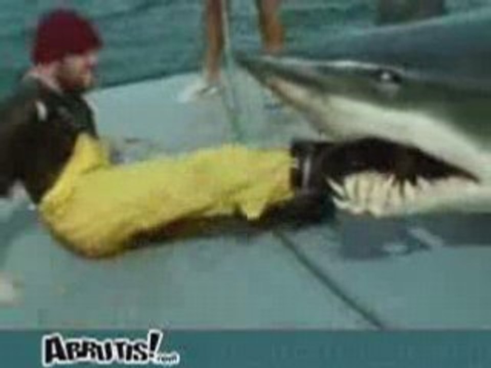 Requin ou monstre-Rends moi mon poisson !