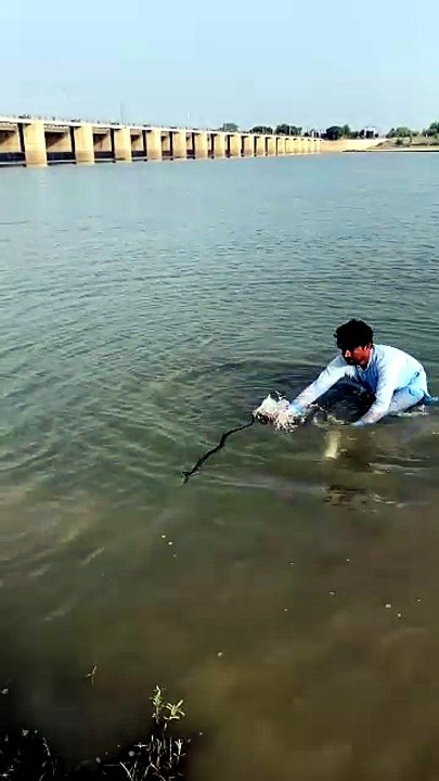 Oye Pani me nag