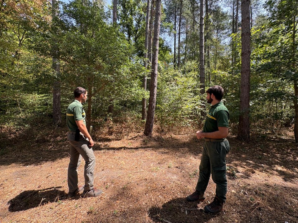 L'ONF de la Vienne fait des patrouilles en forêt pour éviter les incendies