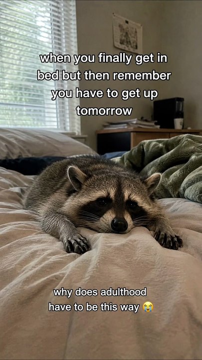 When Life Gives You Responsibilities Instead of Sleep 😴