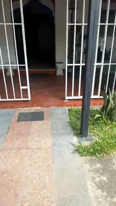 Denuncian a constructora por daños en academia de Luis Calderini