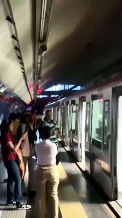 ¿Qué provocó el apagón del Metro de este jueves?