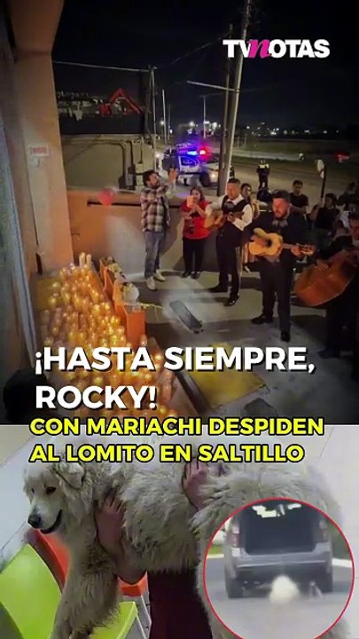 Con mariachi y entre lágrimas, despiden al perrito Rocky