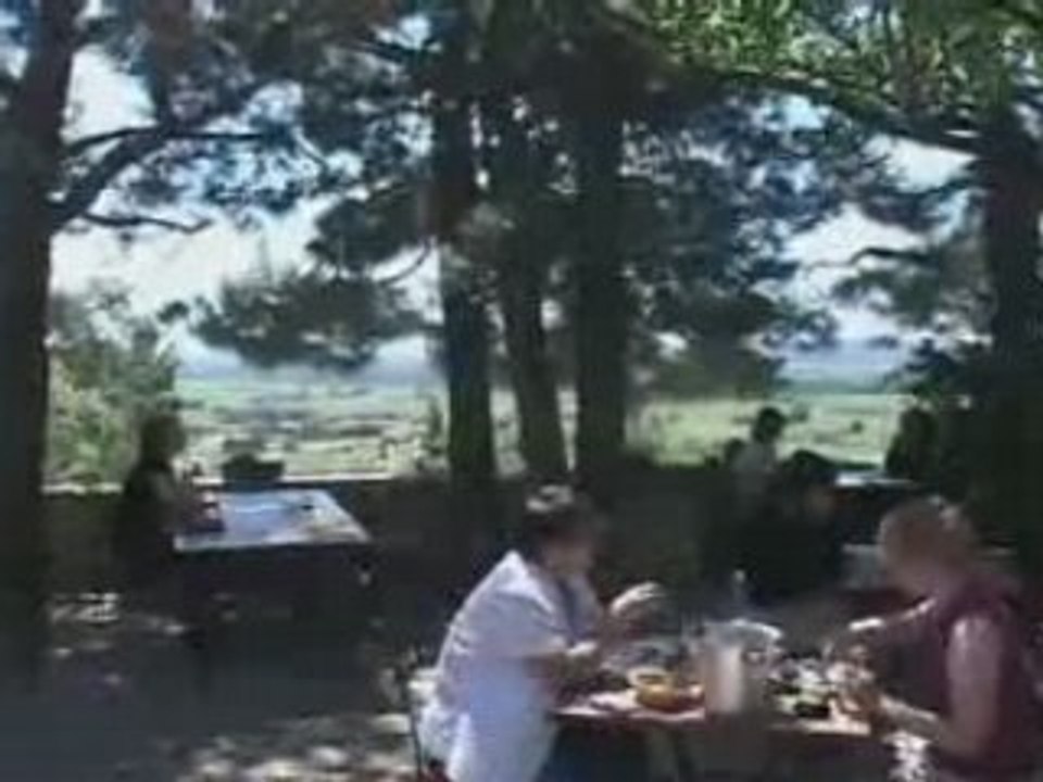 Avignon & Chateauneuf du Pape