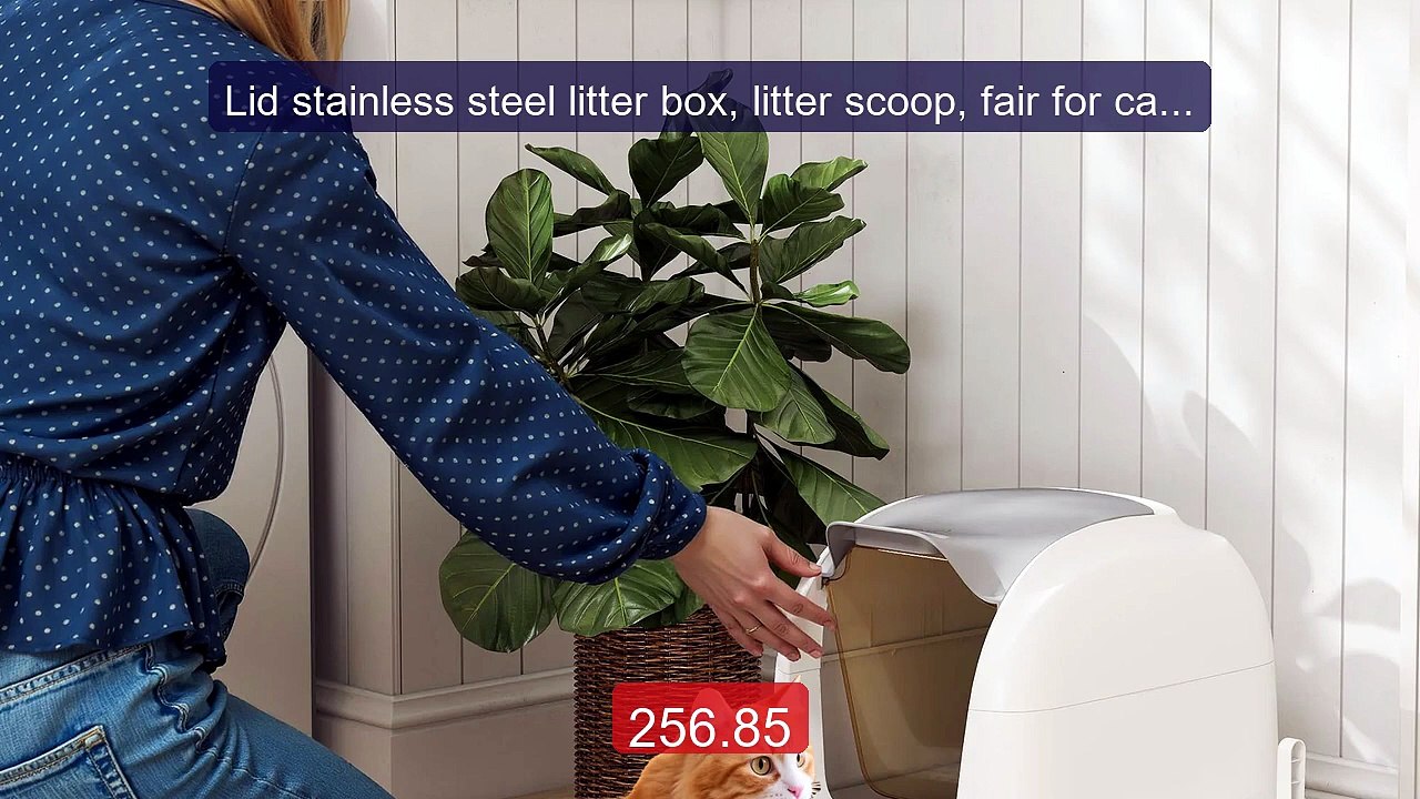 Lid stainless steel litter box, litter scoop, f...