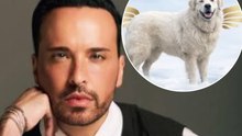 Apio Quijano se pronuncia tras el fallecimiento del perrito Rocky