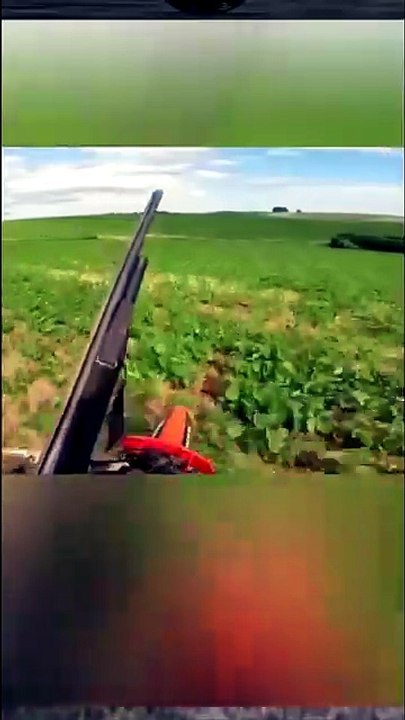 Wildbore hunting