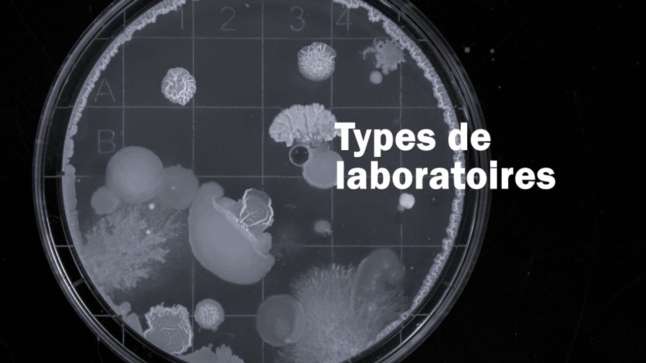 Structures Tutelles et Unités de Recherche - Part 2 - Laboratoires