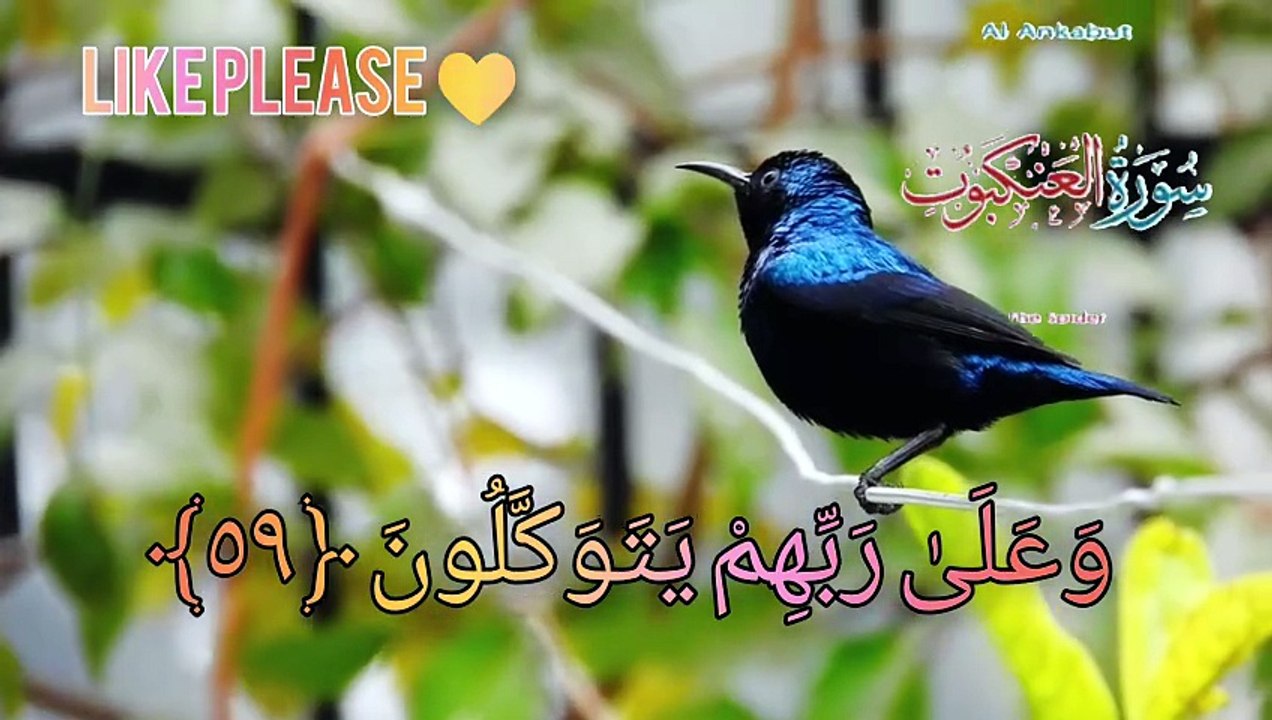 Islamic videos official