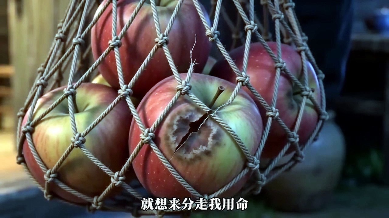 Fishing Village of the '80s- I Became a Ten-Thousand-Yuan-Household Thanks to the Divine Turtle 🔥[ON TRENDING]🔥