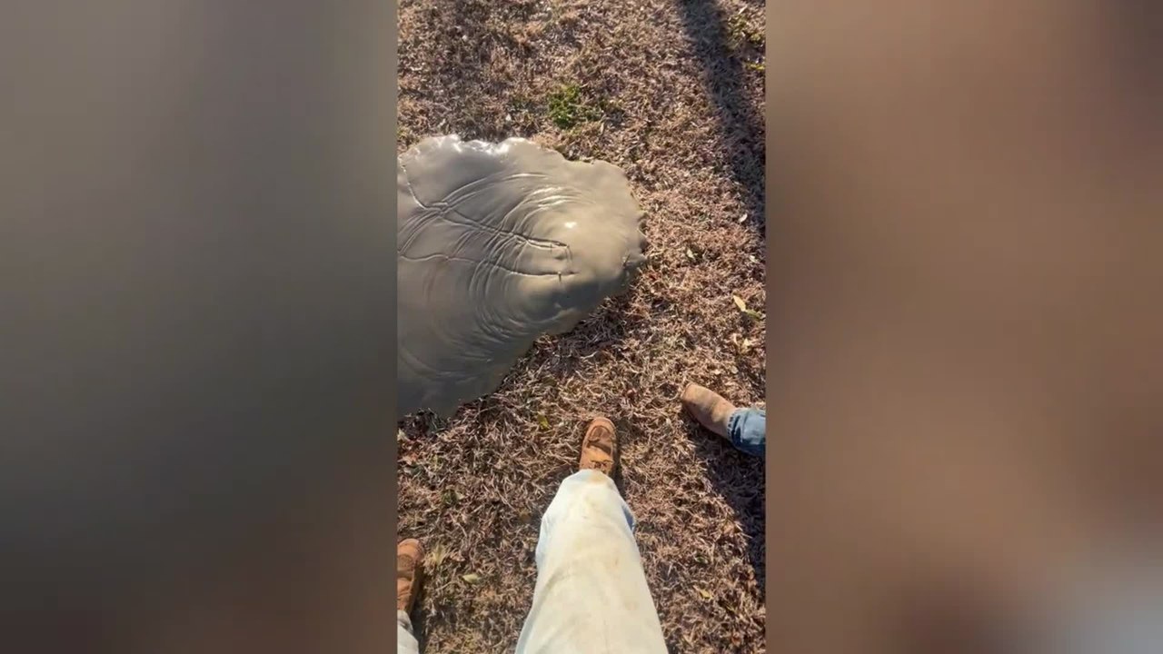 Mysterious Object Poking Out of Texas Ground Leaves Onlookers Baffled