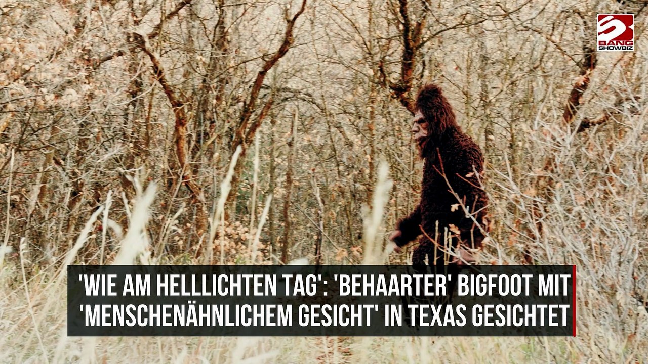 'Wie am helllichten Tag': 'Behaarter' Bigfoot mit 'menschenähnlichem Gesicht' in Texas gesichtet