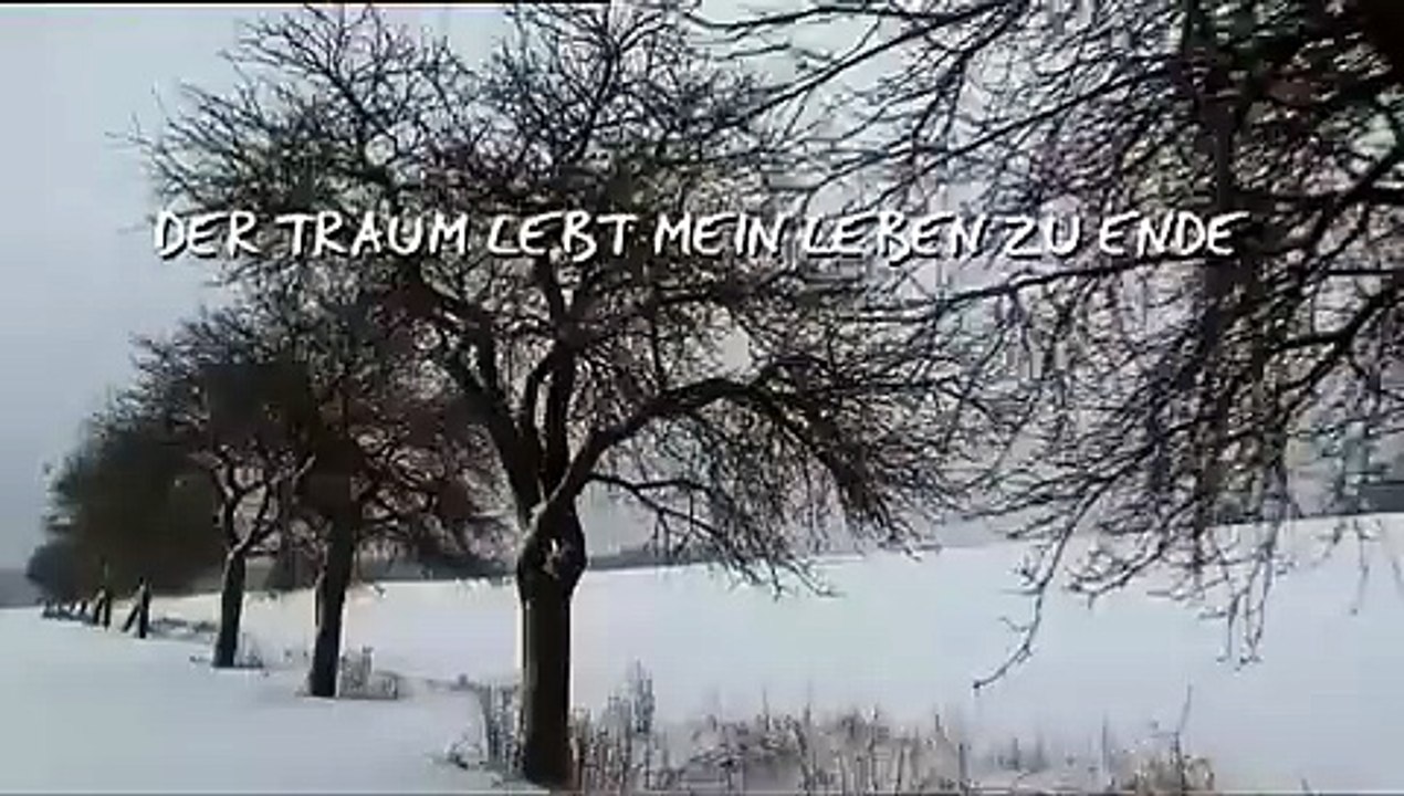 Der Traum lebt mein Leben zu Ende (2011)