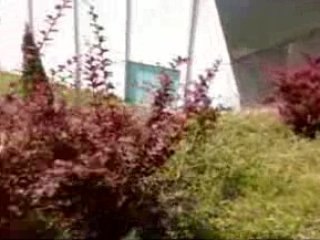 Les gros cons de granville