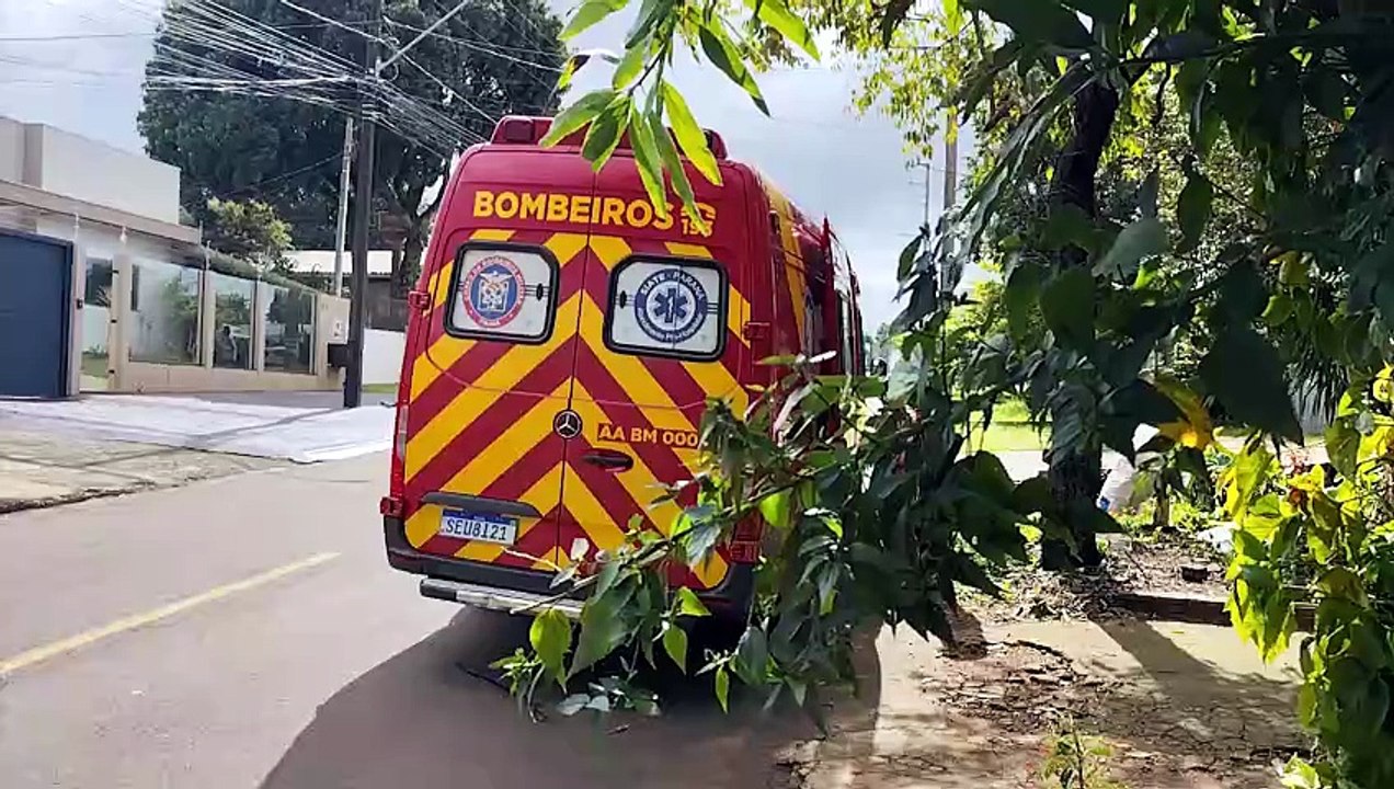 Menina sofre ferimentos na perna após ataque de cachorros no Brasília