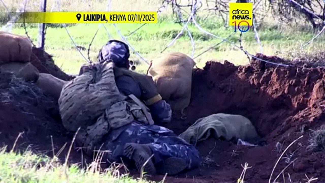 UK cancels military training exercise in Kenya after licence dispute