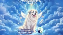 Laura Bozzo exige justicia por el perrito Rocky