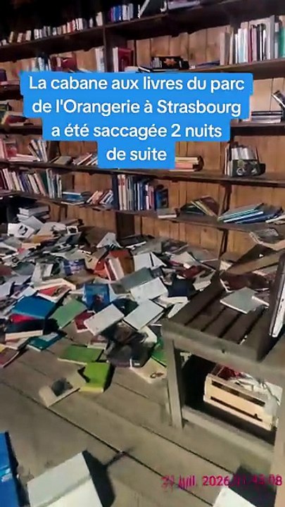 "Certains ouvrages ont été jetés dans l'eau" : à Strasbourg, cette cabane à livres a été vandalisée durant deux nuits