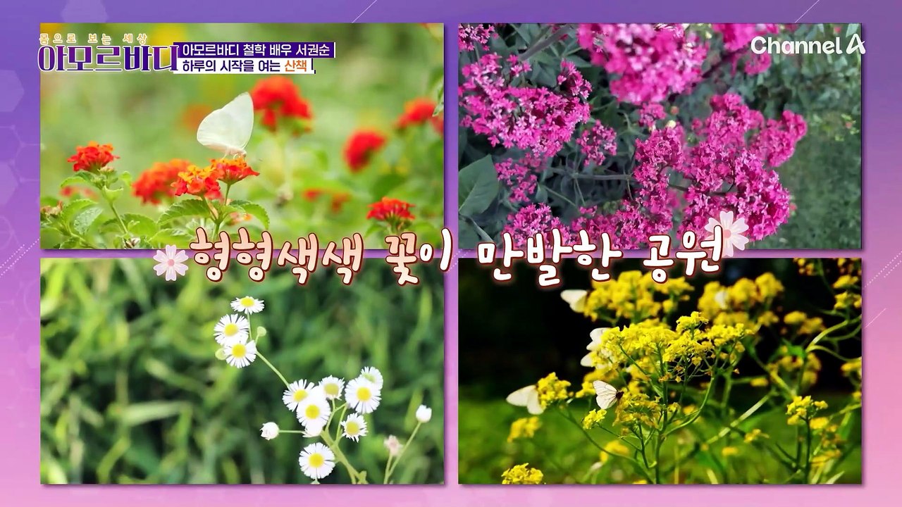 아모르바디 철학 배우 '서권순'의 건강 비결을 알아보자!
