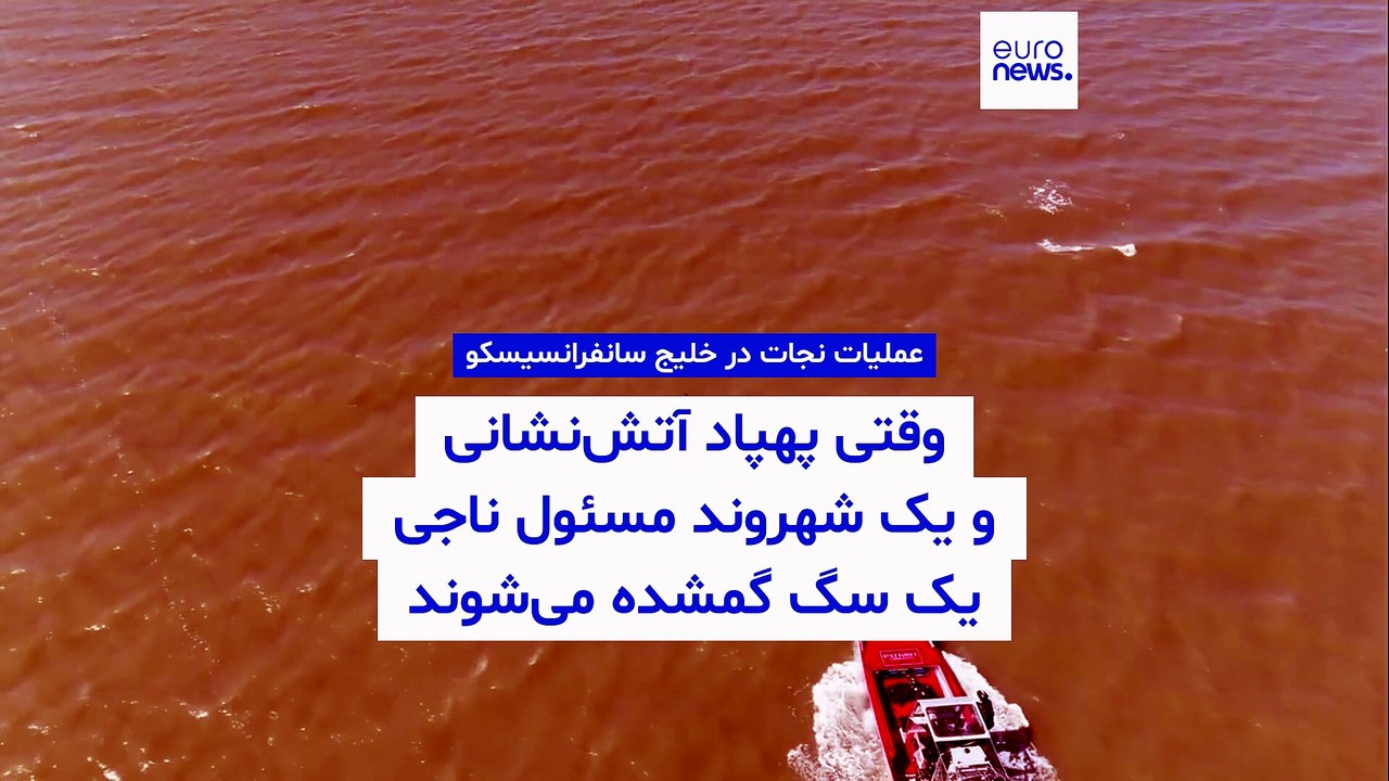 وقتی پهپاد آتش‌نشانی و یک شهروند مسئول ناجی سگ گمشده می‌شوند
