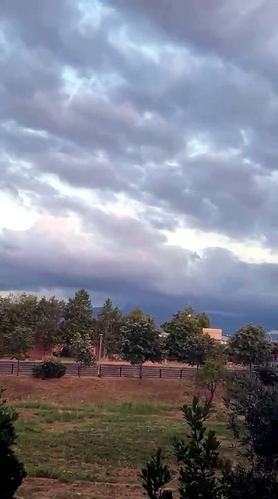 İzmit'te yaz günü balkona çıkamıyor, cam açamıyorlar! O mahallede sinek istilası