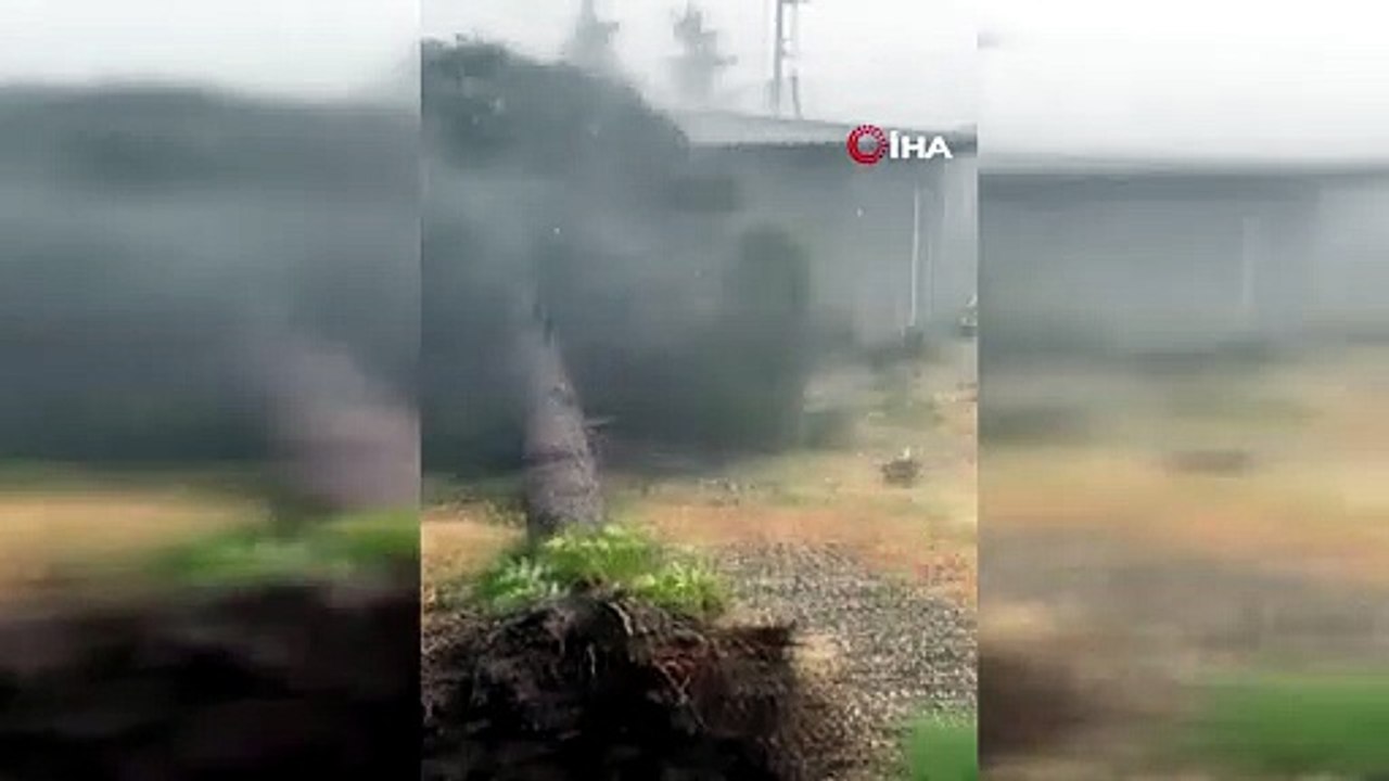 Tokat'ta fırtına etilik oldu ağaçlar devrildi