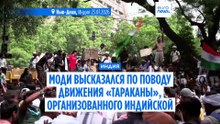 В Индии не утихают протесты «тараканов», вспыхнувшие из-за вступительных экзаменов
