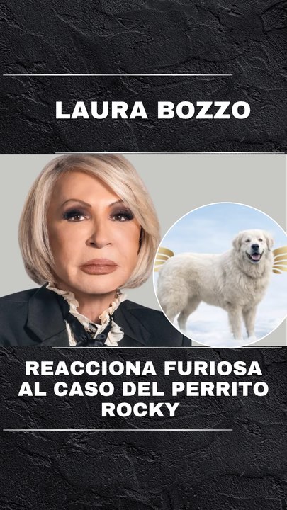 Laura Bozzo reacciona con indignación al caso del perrito Rocky