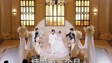 The Green Tea Wannabe Stole My Spotlight, So I Called Off the Wedding