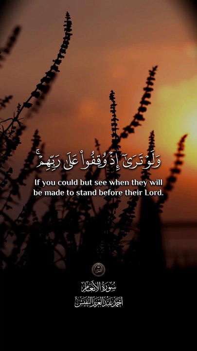 ﴿ وَلَوْ تَرىٰ إِذْ وُقِفُوا عَلىٰ رَبِّهِمْ قالَ ألَيْسَ هَٰذَا بِالحَقِّ قالُوا بَلَىٰ وَرَبِّنا ﴾