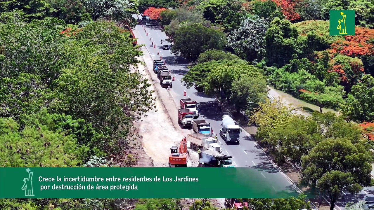 Crece la incertidumbre entre residentes de Los Jardines por destrucción de área protegida
