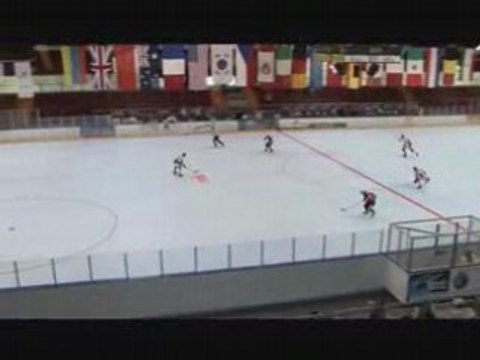 ROLLER HOCKEY - CHAMPIONNAT DU MONDE 2008 : France / République Tchèque