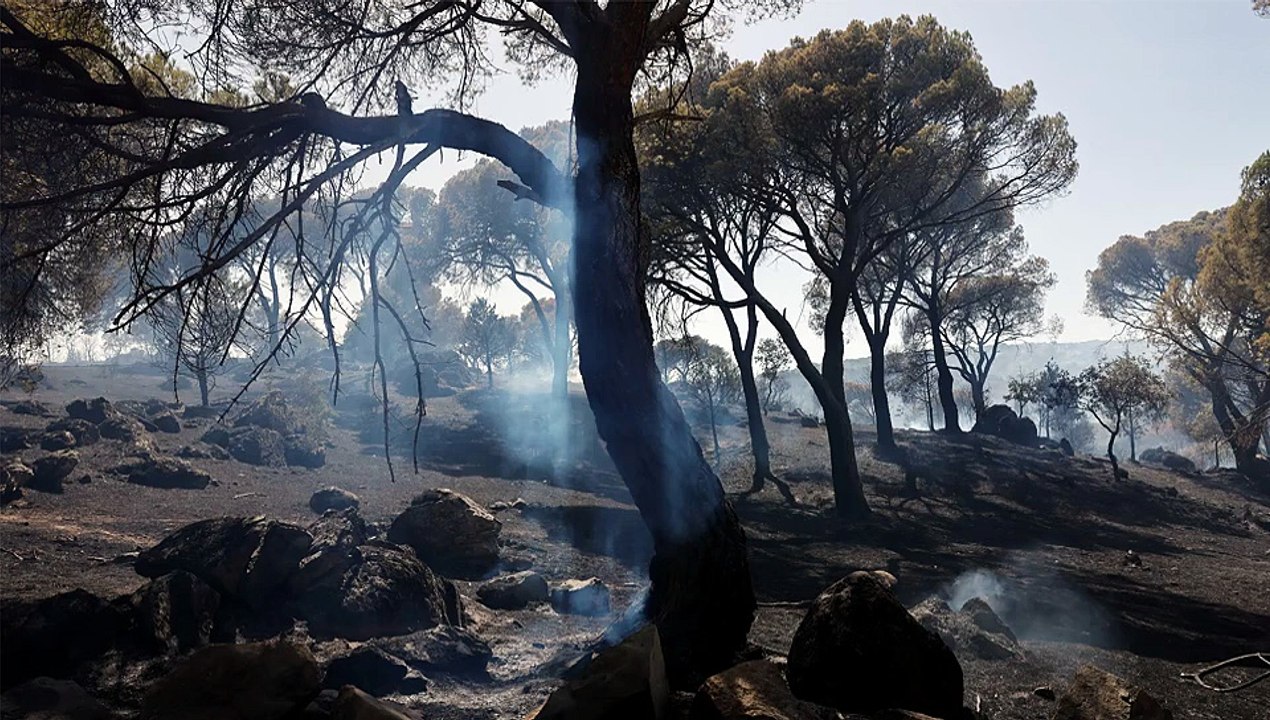 Loop Ok incendios