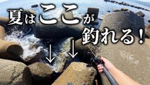 【穴釣り】釣りたいならココ！夏はこの場所が釣れる！