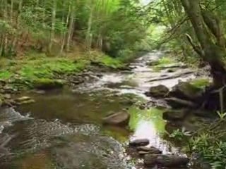 Hiking at Seneca Creek WV