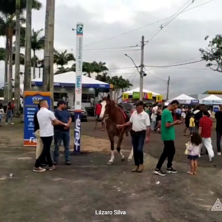 Animais no Parque de Exposição