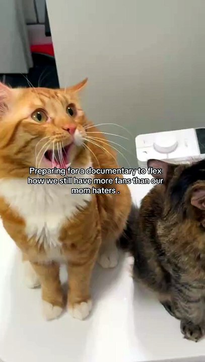 😮😮😮 #viral