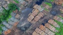 auto_amazon_deforestation_drops_to_lowest_levels